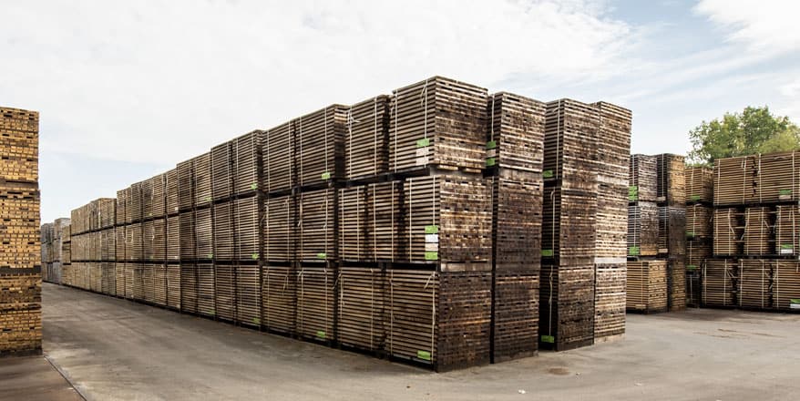 Parque de madera de roble para su curado