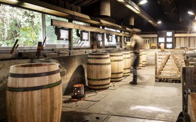 Formation et métiers des hommes de la tonnellerie