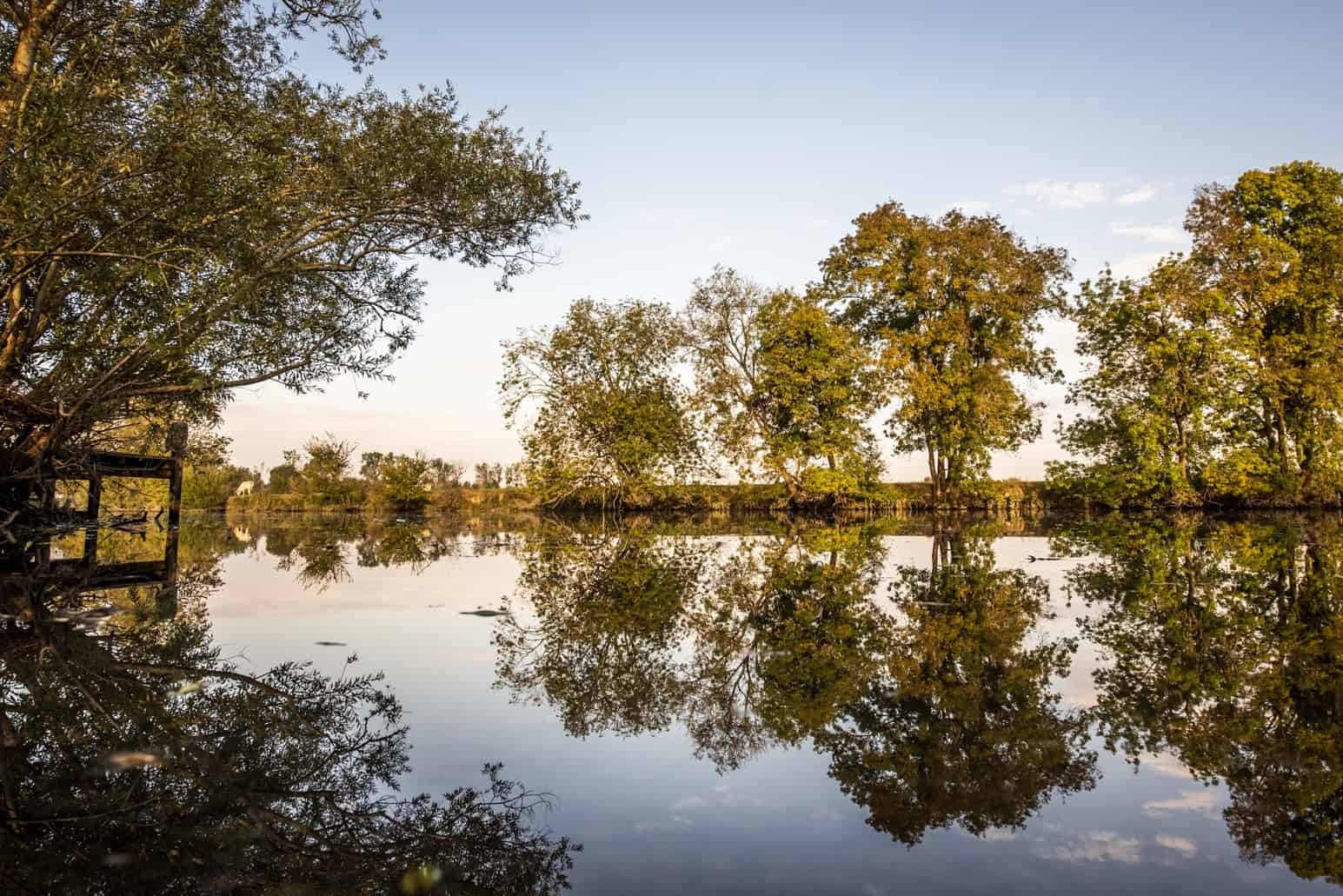 Étang et arbres de l'arboretum de la Tonnellerie Baron aux Gonds, en lumière de fin de journée