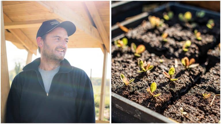 Biodiversité